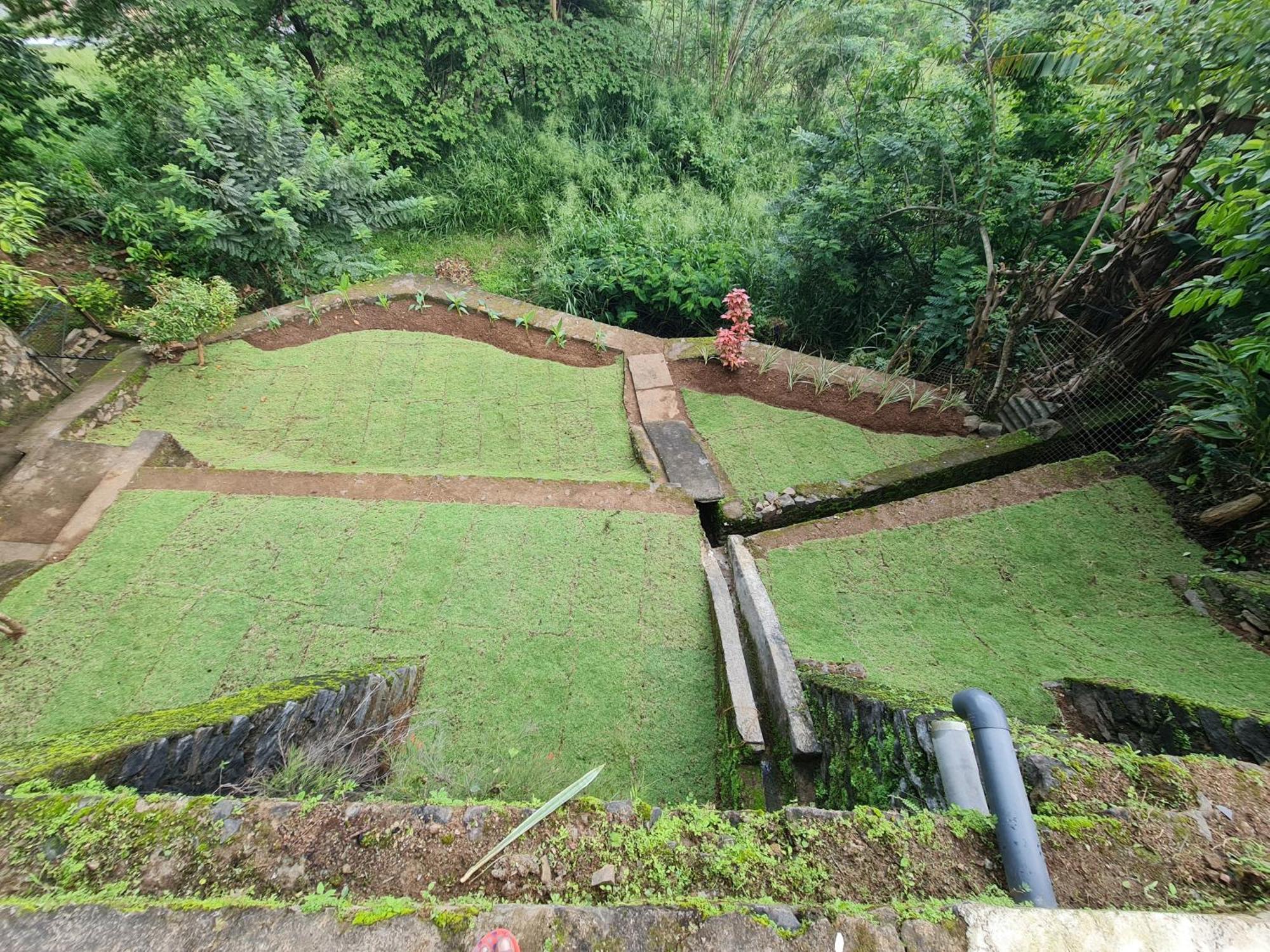 Hello Kandy Homestay Dış mekan fotoğraf