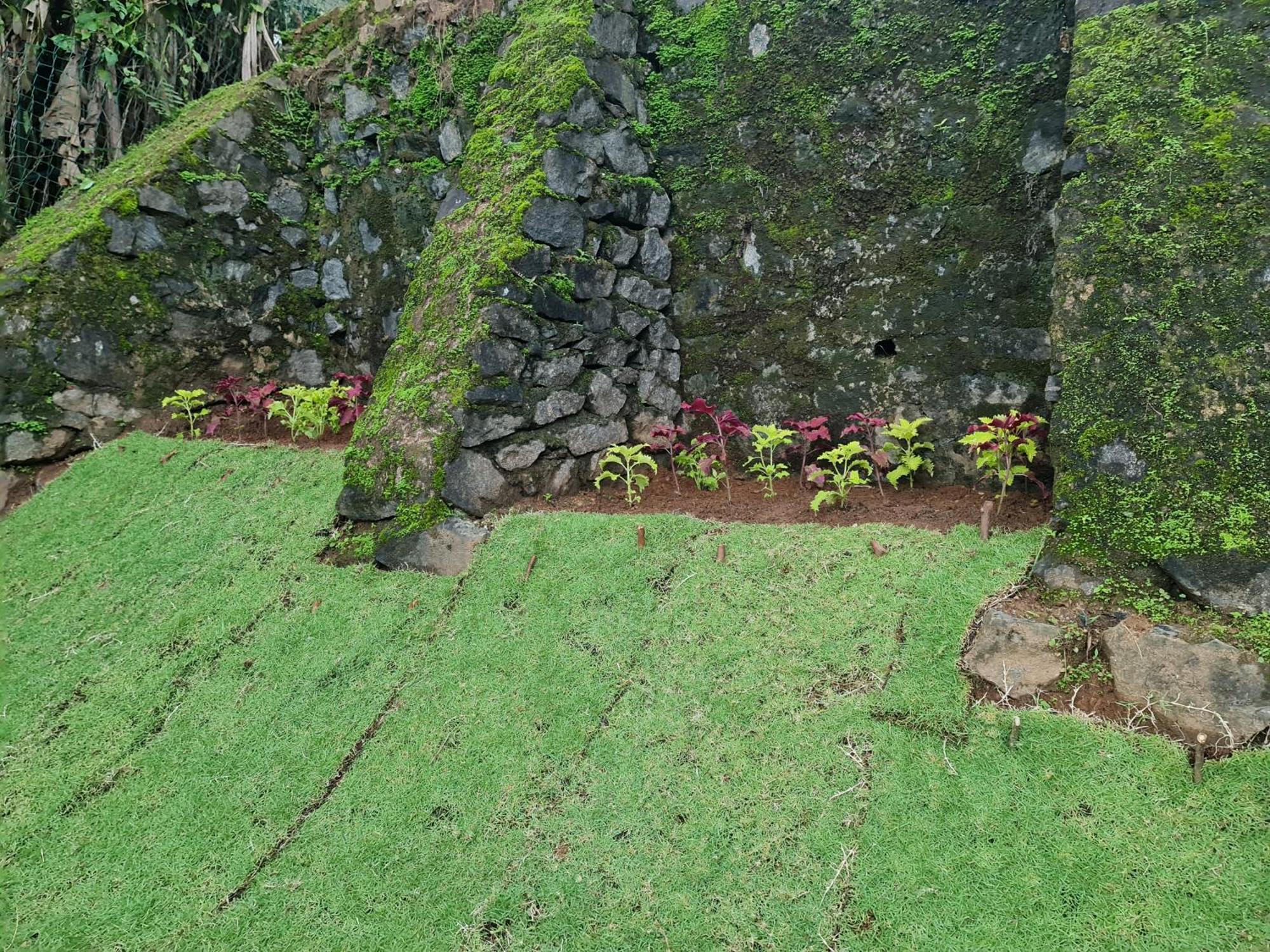 Hello Kandy Homestay Dış mekan fotoğraf
