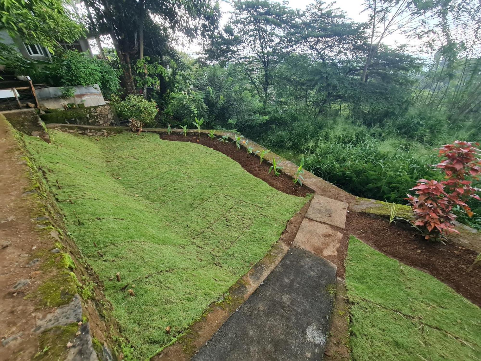 Hello Kandy Homestay Dış mekan fotoğraf